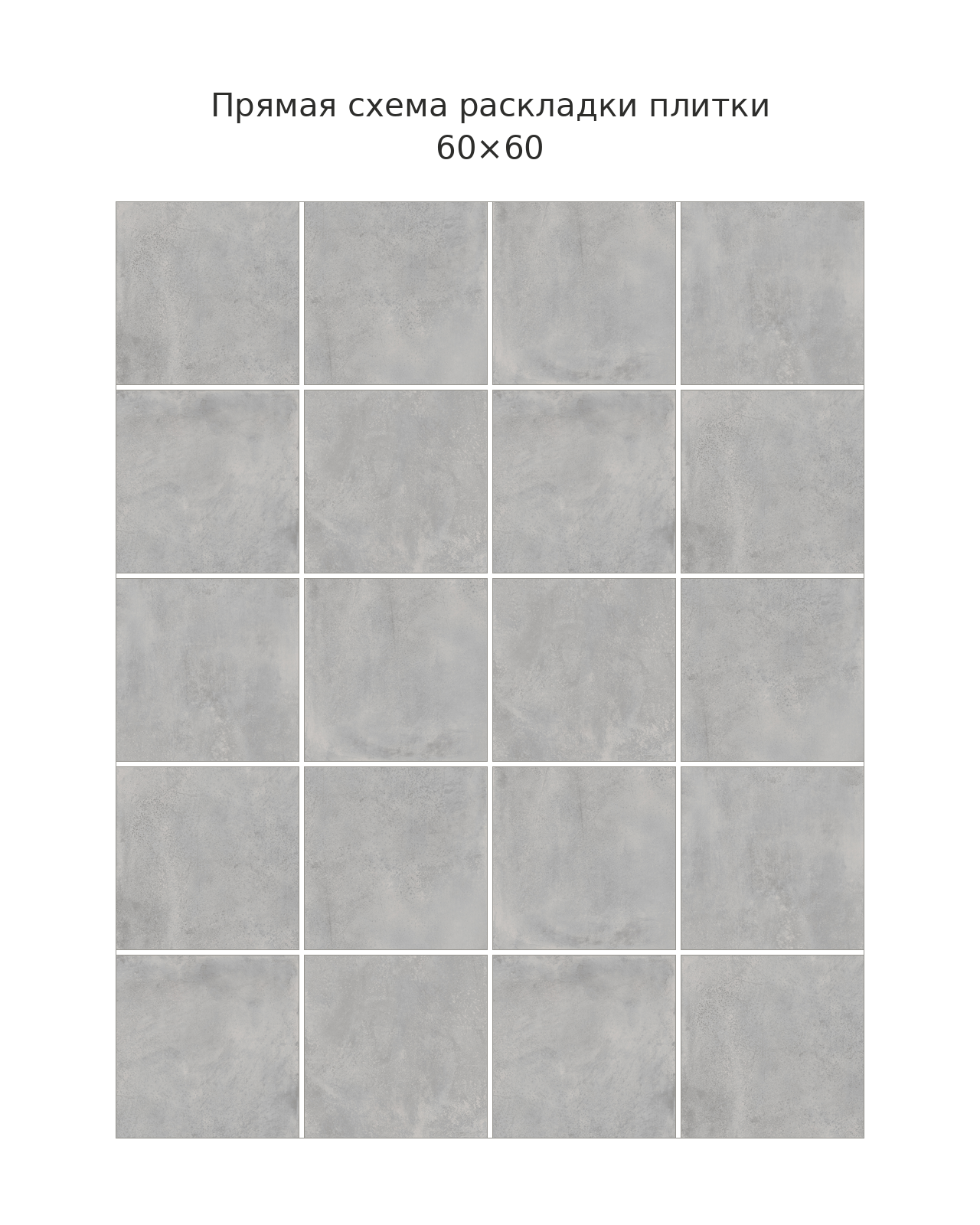 Vert 60x60 pryamaya