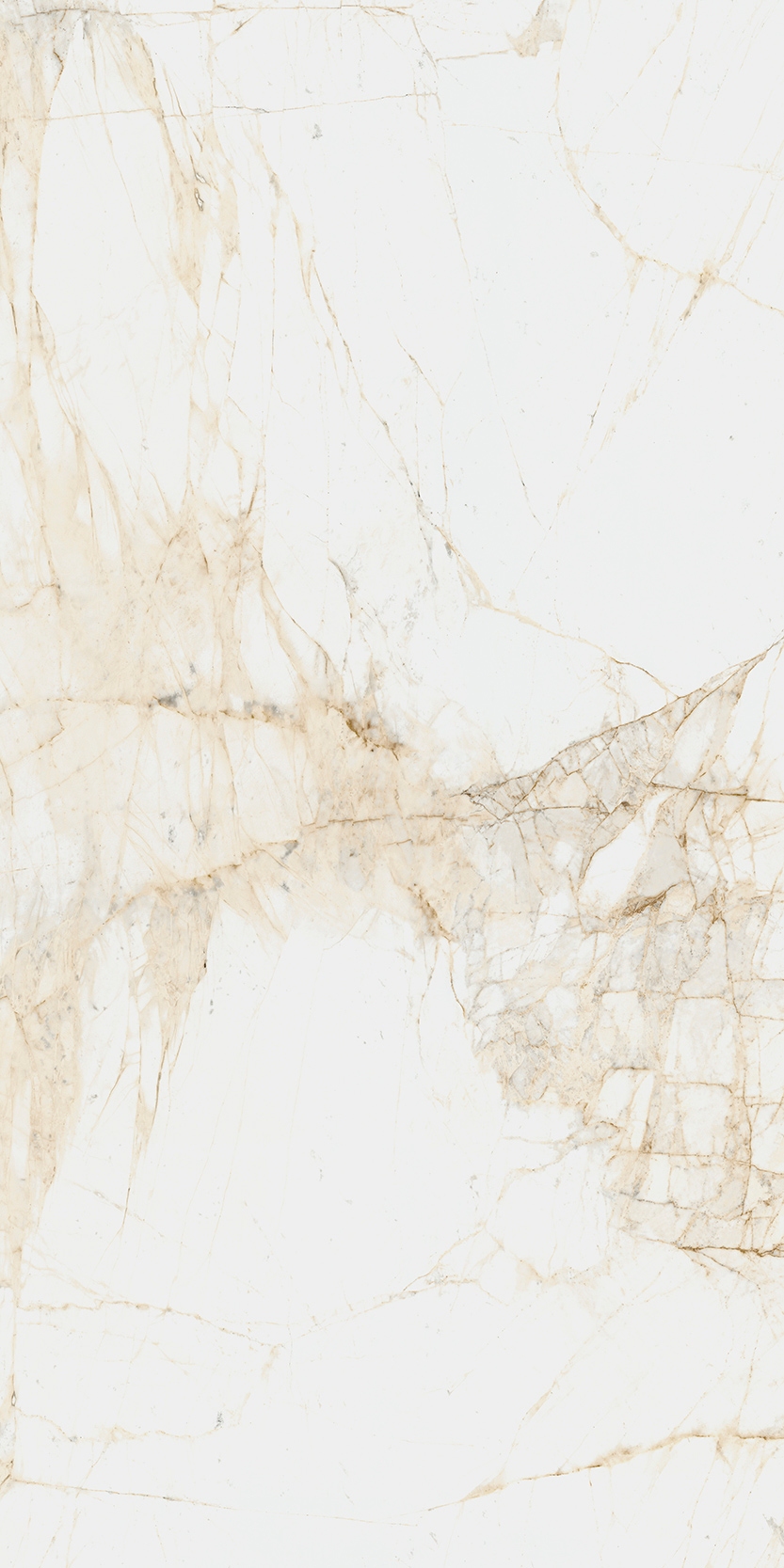 Canova 60x120 White f02