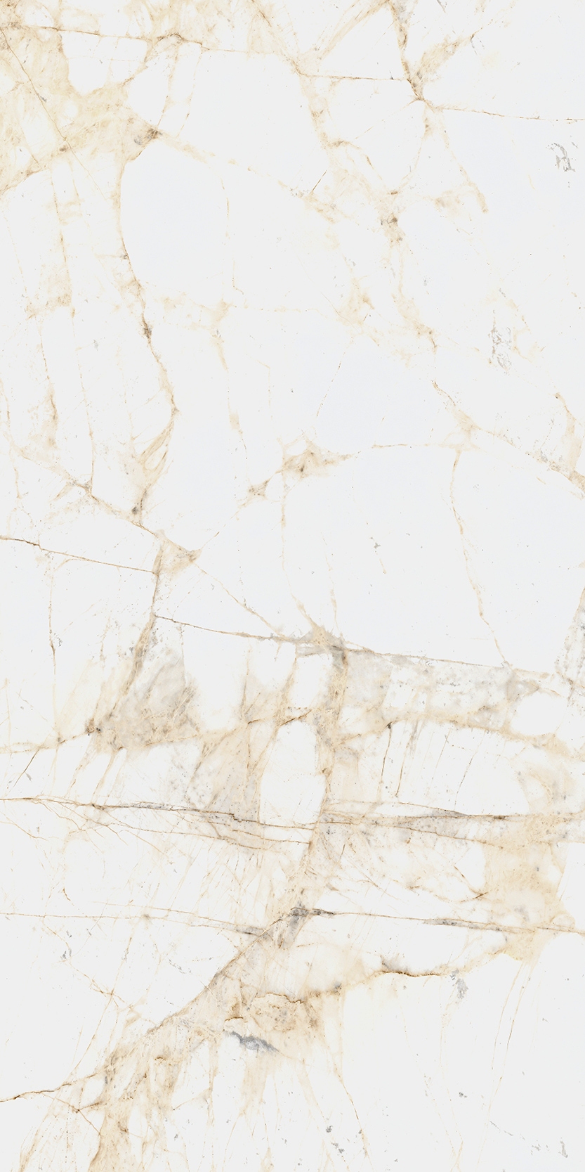 Canova 60x120 White f03