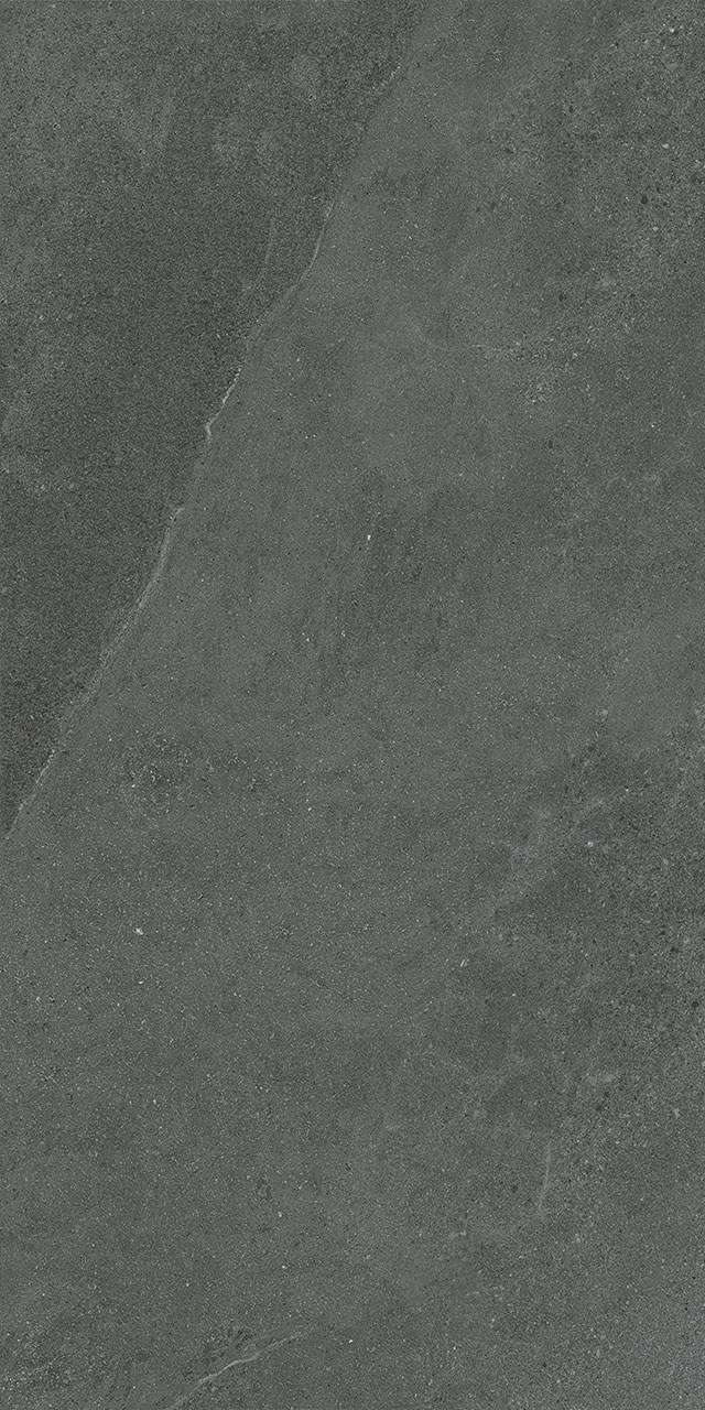 Contea 60x120 grey pr04 f03